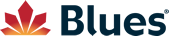 Blues Turizm